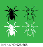 Spider or tarantula icon  Black and white color set . Spider or tarantula icon . Black and white color set . Стоковая иллюстрация, агентство Ingram Publishing / Фотобанк Лори