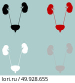 Red black grey white urinary system icon.. Red black grey white urinary system icon. Set icons. Стоковая иллюстрация, агентство Ingram Publishing / Фотобанк Лори