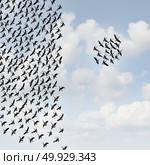 Independent group thinkers concept and new team leadership concept or teamwork individuality as a crowd of flying birds with one small grouping going in the opposite direction in a 3D illustration style. Стоковое фото, агентство Ingram Publishing / Фотобанк Лори