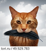 Cat behavior and killer instinct concept as a domestic feline with a black bird feather in its mouth as a metaphor for pet psychology in a 3D illustration style. Стоковое фото, агентство Ingram Publishing / Фотобанк Лори