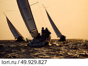 Sailing regatta in the Gulf of Finland at sunset, few sailing yachts competing in a race, splashing water from under the boats, teamwork, board the boat. Стоковое фото, фотограф Vladimir Drozdin / Фотобанк Лори