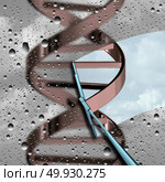 Understanding DNA research as a blurry double helix as a concept for genetic biotechnology and chromosome study and medical discovery as a 3D illustration. Стоковое фото, агентство Ingram Publishing / Фотобанк Лори