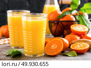 Mandarin orange juice. Refreshing summer drink. Fruit refreshment beverage. Стоковое фото, агентство Ingram Publishing / Фотобанк Лори
