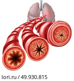 Asthma bronchial tube constricted breathing  problem concept caused by respiratory muscle tightening and swelling stages of air passage with 3D illustration elements. Стоковое фото, агентство Ingram Publishing / Фотобанк Лори