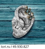 Ear cancer medical illness concept as crumpled paper shaped as the human hearing sense body part with burnt areas as a melanoma and carcinoma symbol in a 3D illustration style. Стоковое фото, агентство Ingram Publishing / Фотобанк Лори