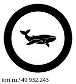 Whale black icon in circle vector illustration isolated. Стоковая иллюстрация, агентство Ingram Publishing / Фотобанк Лори