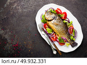 Baked fish dorado. Dorado fish oven baked and fresh vegetable salad on plate. Sea bream or dorada fish grilled and vegetable salad. Стоковое фото, агентство Ingram Publishing / Фотобанк Лори