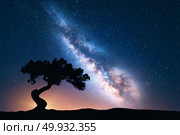 Milky Way with alone old crooked tree on the hill. Colorful night landscape with bright milky way, starry sky and tree in summer. Space background. Amazing astrophotography. Beautiful universe. Travel. Стоковое фото, агентство Ingram Publishing / Фотобанк Лори