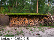 Firewoods stacked in pile under canopy in the forest. Стоковое фото, агентство Ingram Publishing / Фотобанк Лори