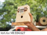 Wooden ethnic African instrument Kalimba. Стоковое фото, агентство Ingram Publishing / Фотобанк Лори