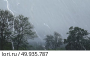 Dramatic thunderstorm with heavy rain and striking lightning in forested landscape. Стоковое AI-видео, аниматор Владимир Федоров / Фотобанк Лори