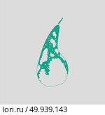 Icon of Pear. Gray background with green. Vector illustration. Стоковое фото, агентство Ingram Publishing / Фотобанк Лори