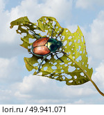 Japanese beetle damage as an infestation of an invasive species insect causing damaged plant and agriculture problems or garden vegetables pests in a 3D illustration style. Стоковое фото, агентство Ingram Publishing / Фотобанк Лори