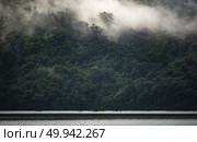 the landscape view of tropical rain forest, nature scene. Стоковое фото, агентство Ingram Publishing / Фотобанк Лори