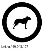 Pit bull terrier icon black color in round circle vector illustration. Стоковая иллюстрация, агентство Ingram Publishing / Фотобанк Лори