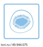 Icon of Kiwi. Blue frame design. Vector illustration. Стоковое фото, агентство Ingram Publishing / Фотобанк Лори