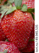 fresh strawberry. Стоковое фото, агентство Ingram Publishing / Фотобанк Лори