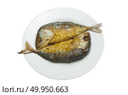 Fried Mackerel fish close up. Стоковое фото, агентство Ingram Publishing / Фотобанк Лори