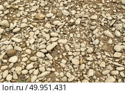 Limestone background. Стоковое фото, агентство Ingram Publishing / Фотобанк Лори