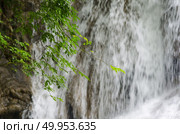 Erawan Waterfall, beautiful waterfall with sunlight rays in deep forest, Erawan National Park in Kanchanaburi, Thailand. Стоковое фото, агентство Ingram Publishing / Фотобанк Лори