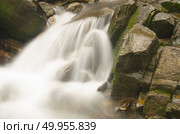 Beautiful waterfall in the forest. Стоковое фото, агентство Ingram Publishing / Фотобанк Лори