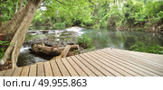 Wood boards along the streams, forest filed. Стоковое фото, агентство Ingram Publishing / Фотобанк Лори