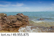 Tropical beach. Стоковое фото, агентство Ingram Publishing / Фотобанк Лори