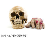 Red hand amputated with human skull, halloween decoration detail, realism and fear, violence. Стоковое фото, агентство Ingram Publishing / Фотобанк Лори