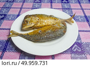Fried fish cooked to taste. Стоковое фото, агентство Ingram Publishing / Фотобанк Лори
