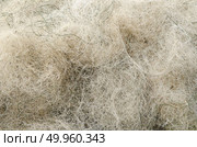 old Fishnet. Стоковое фото, агентство Ingram Publishing / Фотобанк Лори