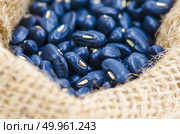Beans in sack. Стоковое фото, агентство Ingram Publishing / Фотобанк Лори