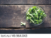 fresh cilantro salad, coriander with cucumber salad. Healthy food concept.. fresh cilantro salad, coriander with cucumber salad. Healthy foo. Стоковое фото, агентство Ingram Publishing / Фотобанк Лори