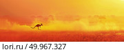 A kangaroo standing in a field of grass with the sun setting in the background. Стоковое AI-изображение, AI-художник Данила Большаков / Фотобанк Лори