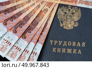 Деньги лежат на трудовой книжке. Стоковое фото, фотограф Евгения Золкина / Фотобанк Лори