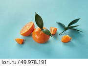 Tropical exotic citrus fruits mandarine whole and slices with green leaves on a blue paper background. Exotic citrus fruits with green leaves on a blue paper background. Стоковое фото, агентство Ingram Publishing / Фотобанк Лори