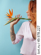 Red-haired woman with a tattoo holds an exotic strelitzia flower on a blue background. Spring concept. Woman holding a strelitzia flower on a blue background. Стоковое фото, агентство Ingram Publishing / Фотобанк Лори