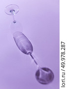 Inverted empty wine glass with reflection of shadow on purple background. Copy space. Clear empty wine glass on purple background. Стоковое фото, агентство Ingram Publishing / Фотобанк Лори