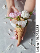 Three wafer cones with gentle peony flowers in a girls hands with petals on a gray concrete background, copy space. Top view. Concept of congratulations for Mothers Day.. Greeting postcard of woman hold a waffle cup with beautiful pink, white flowers pion in a wafer cones in her hands above gray stone table. Стоковое фото, агентство Ingram Publishing / Фотобанк Лори