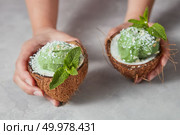 Womans hands take two halves of coconut with homemade green ice cream above a gray concrete background. Summer dessert for vegan. A girl hold two halves of coconut with green mint sorbet with sprig of mint and coconut chips on a gray concrete. Стоковое фото, агентство Ingram Publishing / Фотобанк Лори