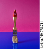 The brush for painting the surface and apartment repair on a blue pink pantone background with copy space.. A new paint brush standing on a duotone blue pink background for finishing works. Стоковое фото, агентство Ingram Publishing / Фотобанк Лори