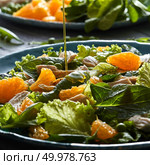 Delicious natural salad with fresly picked green vegetables, spinach, green peas, lettuce, orange fruit, chicken meat in a blue plate with olive oil pours into plate.. A stream of olive oil pours into the prepared salad with natural green vegetables, chicken pieces, orange slices in a blue ceramic plate. Close-up. Стоковое фото, агентство Ingram Publishing / Фотобанк Лори