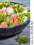 Close-up fresh salad with organic ingredients vegetarian- greenery, slices of radish, pieces of grapefruits, cheese in a ceramic plate.. Delicious natural vegetarian salad with fresly picked vegetables, lettuce, citrus fruit, cheese in a gray plate on a gray wooden background. Стоковое фото, агентство Ingram Publishing / Фотобанк Лори