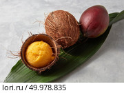 Organic whole coconut, whole mango and a mango ice cream ball in coconut shell on a gray concrete background with copy space. Top view. A yellow ice cream ball in a coconut shell, mango and coconut on a palm leaf on a gray concrete background. Top view. Стоковое фото, агентство Ingram Publishing / Фотобанк Лори