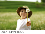 The child holds out a white dandelion. Summer mood, a walk in nature. A gift from the heart. Стоковое фото, фотограф Есич Елена / Фотобанк Лори