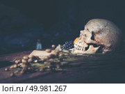 Human skull, Halloween concept, vintage filter image. Стоковое фото, агентство Ingram Publishing / Фотобанк Лори