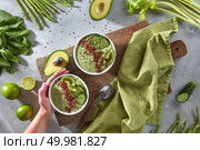 A woman’s hand holds a plate of dietary smoothies made from avocado, cucumber, spinach, asparagus, lime with kiwi and flax on a wooden board on a gray kitchen table. Top view. Detox smoothies from green vegetables with cucumber and kiwi and flax seeds in a plate on a wooden board. A woman’s hand holds a plate. Top view. Стоковое фото, агентство Ingram Publishing / Фотобанк Лори
