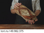 Fresh organic oval bread hold the hands of a baker on a black background of a wooden table. Baker’s hands hold an oval bread. Стоковое фото, агентство Ingram Publishing / Фотобанк Лори