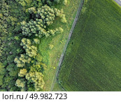 Panoramic view from dron of agricultural field with dirty rural road and green forest. Natural plant background. Top view.. Countryside dirty road along the agricultural field and green forest. Aerial view from dron. Стоковое фото, агентство Ingram Publishing / Фотобанк Лори
