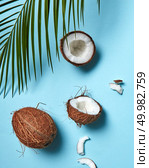 A beautiful composition of organic halves and a whole coconut on a blue background decorated with a plaque sheet with a copy of the space. Flat lay. Pieces and whole coconut with palm green leaf on a blue background copy space for text. Food composition. Flat lay. Стоковое фото, агентство Ingram Publishing / Фотобанк Лори