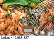 Fresh Seafood on ice in buffet line. Стоковое фото, агентство Ingram Publishing / Фотобанк Лори